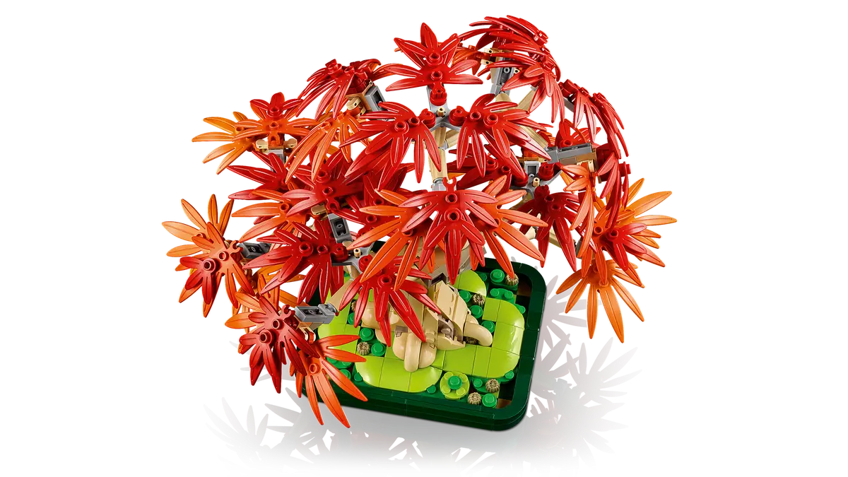 LEGO® Botanicals: Japanese Red Maple Bonsai Tree