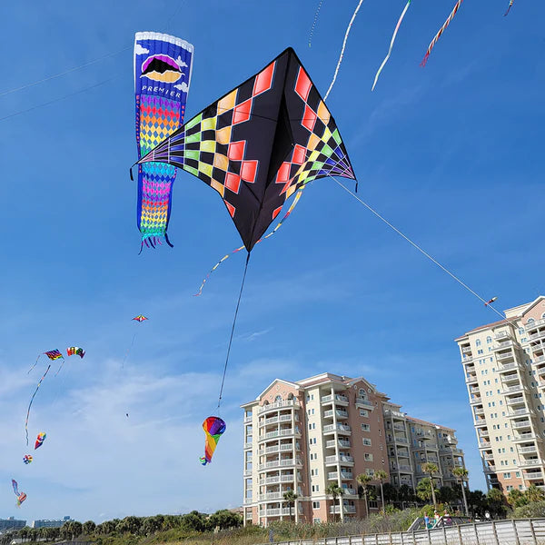 Premier Kites Gyro Delta Kite (Rainbow Checks)