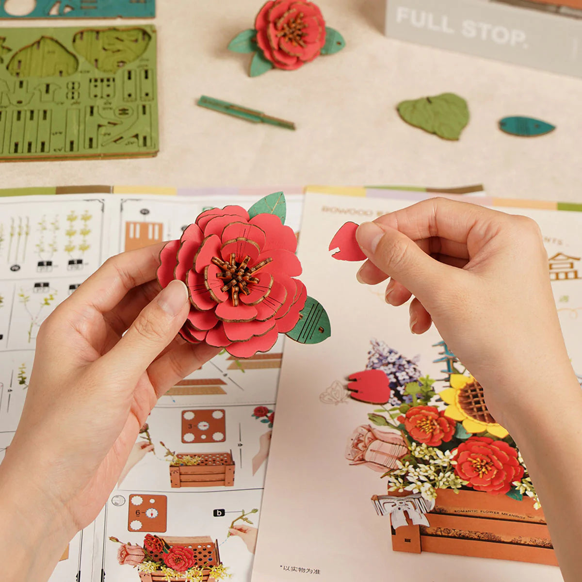 Rowood Wooden Bloom Box DIY 3D Model Kit