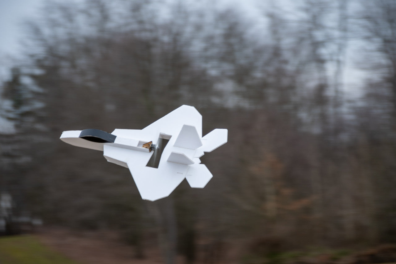 Flite Test FT F-22 Raptor MKR2