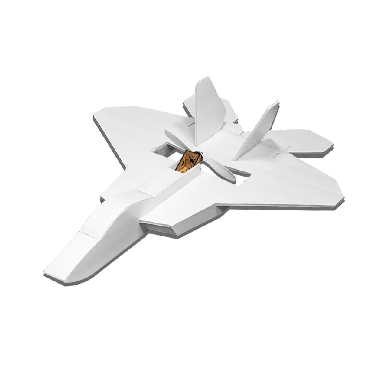 Flite Test FT F-22 Raptor MKR2