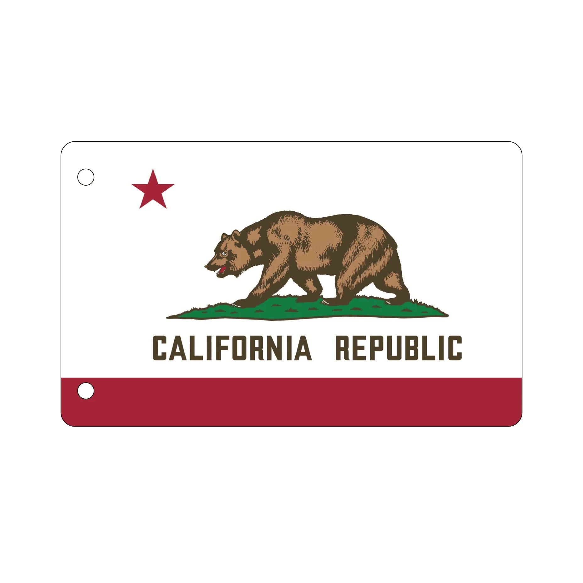 My TrickRC TrickWhip2 California Flag