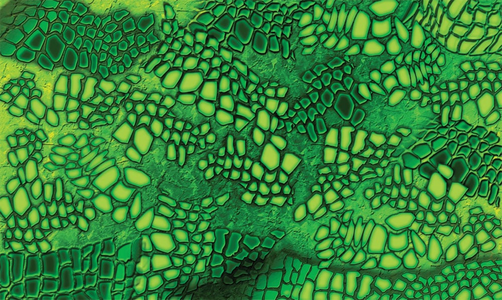 PineCar Gator Body Skin