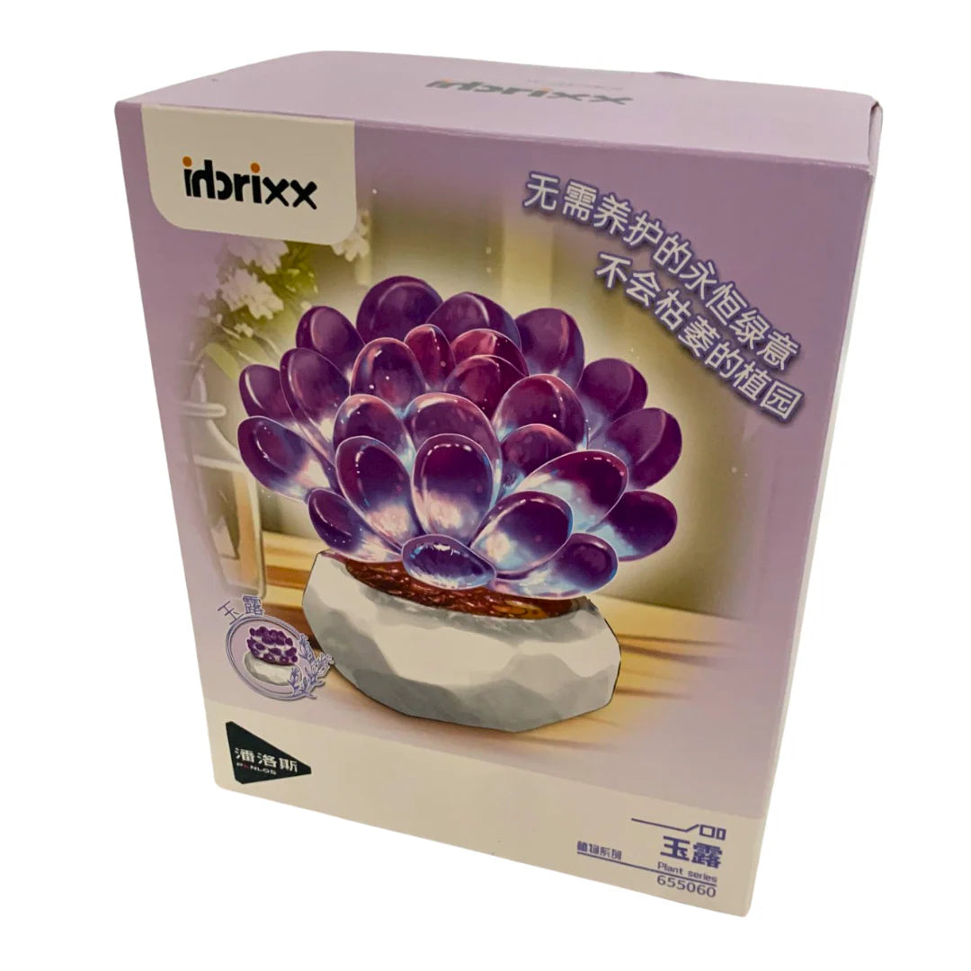 Inbrixx Botanical Series Haworthia Succulent (Haworthia cooperi var. pilifera) Brick Set
