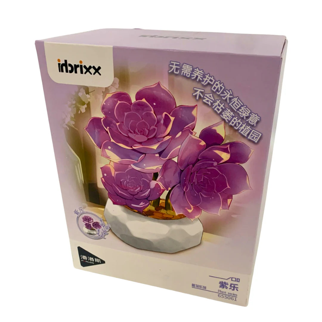 Inbrixx Botanical Series Purple Delight Succulent (Graptopetalum paraguayense ‘Purple Delight’) Brick Set