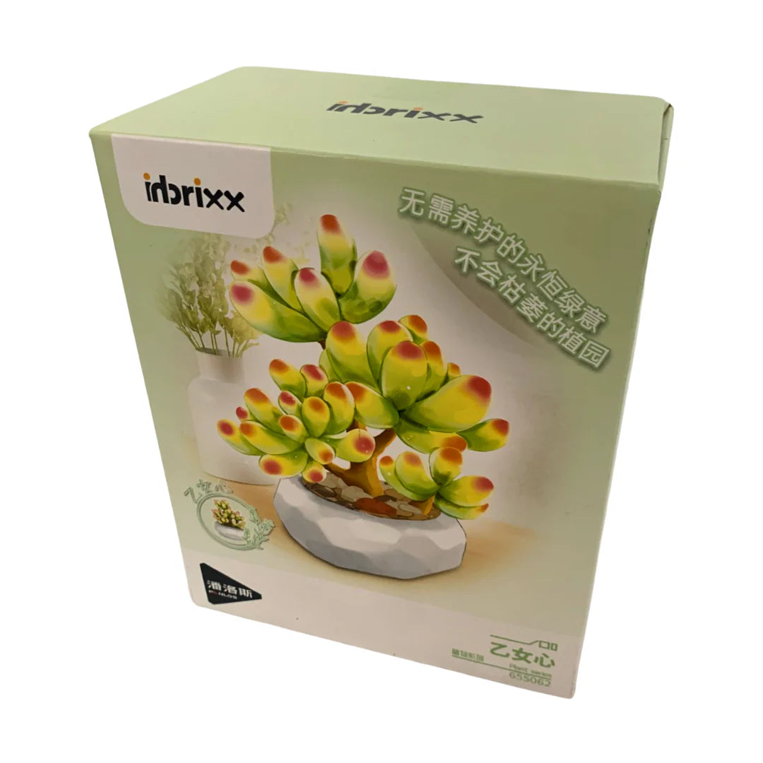 Inbrixx Botanical Series Sedum Succulent (Sedum pachyphyllum “Jelly Bean Plant”) Brick Set