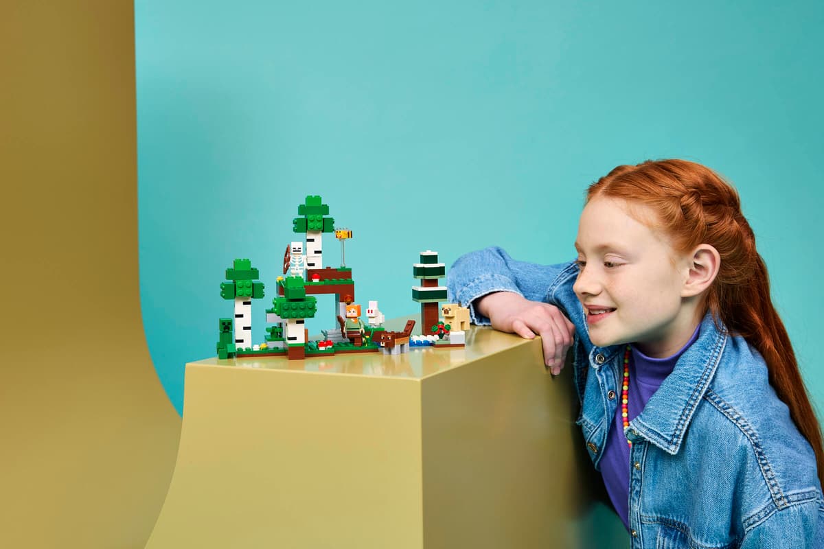 LEGO® Minecraft®: First Night Adventure
