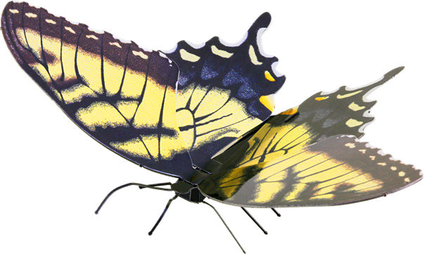 Tiger Swallowtail
