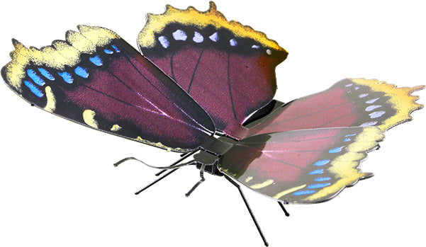 Mourning Cloak