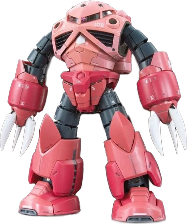 #16 Char"s Custom Z'gok, Bandai RG 1/144