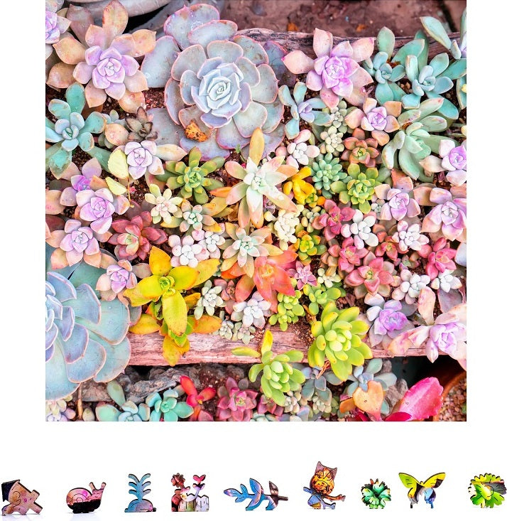 Garden Succulents Puzzle, 500 Pcs