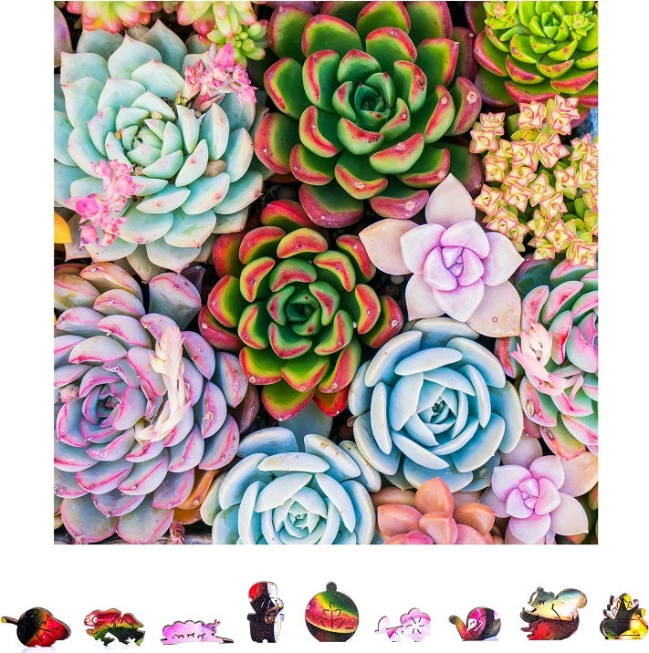 Succulent Sensation Wooden Puzzle, 500 Pcs