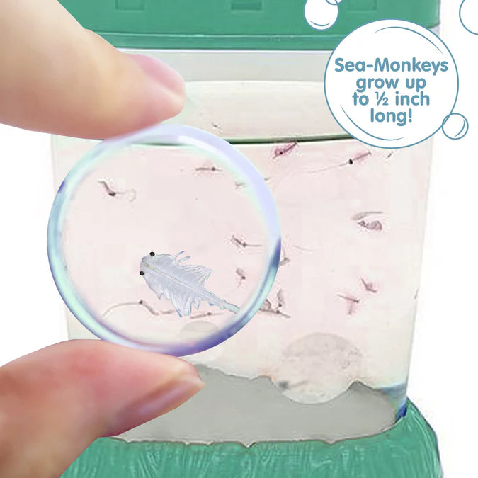 Sea-Monkeys Ocean Zoo (Assorted Colors)