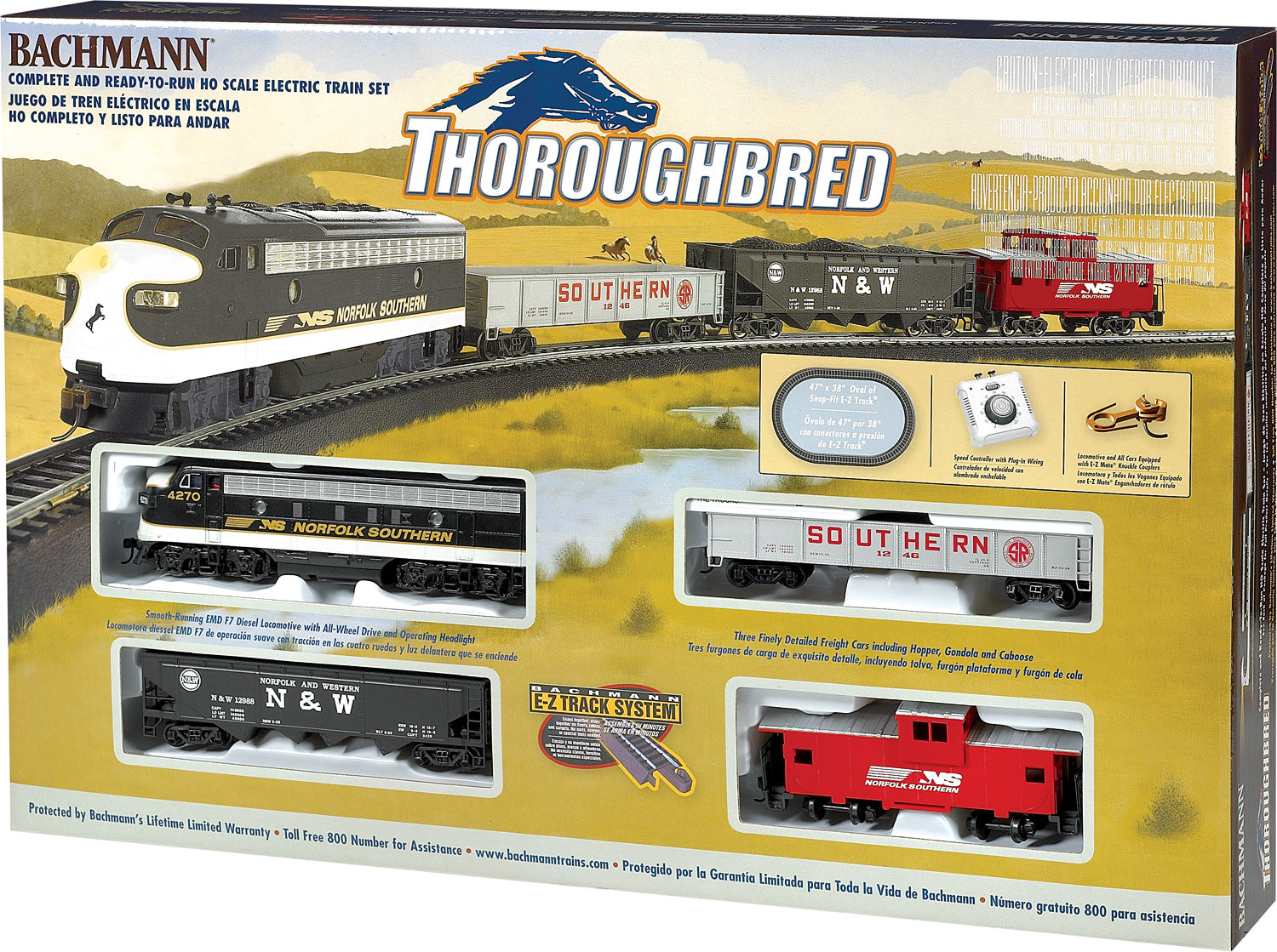 Thoroughbred