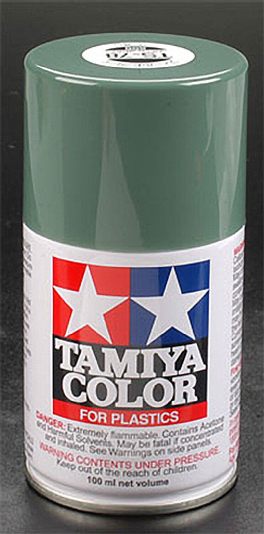 Spray Lacquer TS-78 Field Gray 2